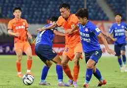 包含赛后突围战来临，山东泰山围绕足总杯篮板制胜，话题不断，赛季目标并未改变的词条