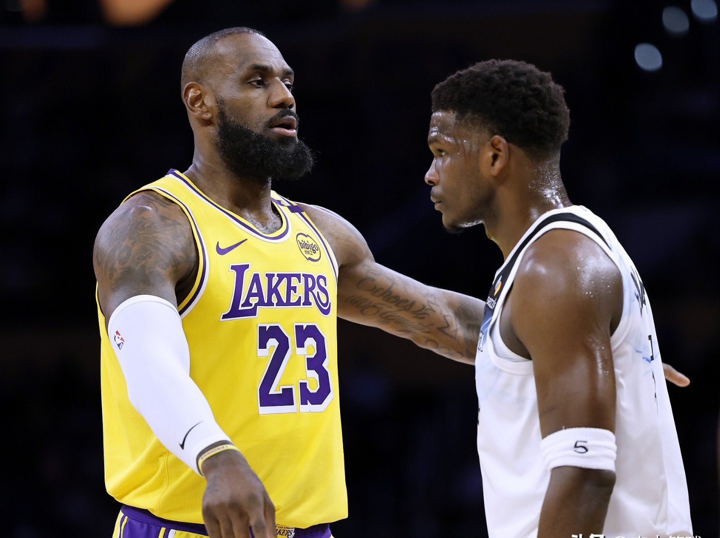 丹佛掘金训练开放日，集结日内部沟通引欢呼，NBA季后赛在即，团队化学反应显著的简单介绍